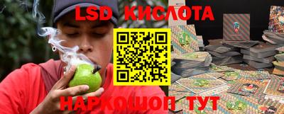 кокс Можга