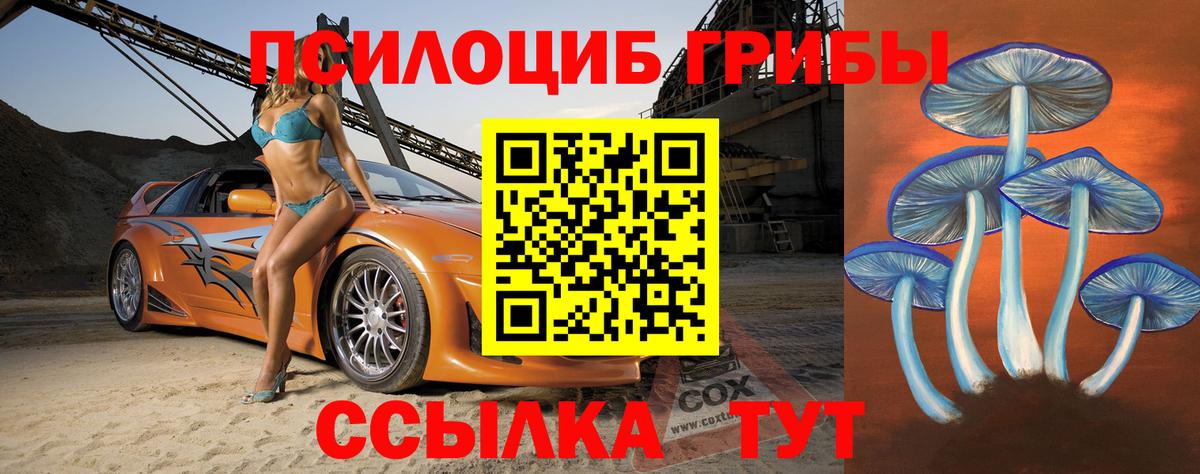 Галлюциногенные грибы Psilocybine cubensis Великие Луки