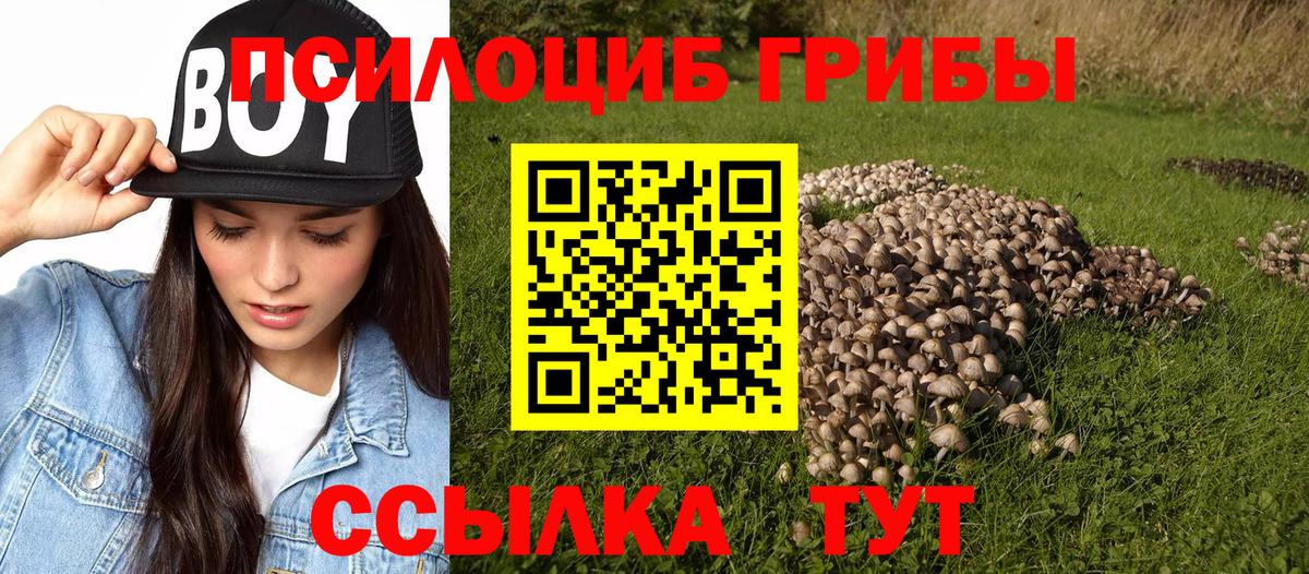 Псилоцибиновые грибы Cubensis  Вход с VPN  где купить   Великие Луки 